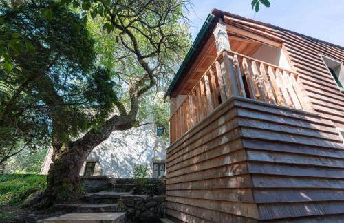 Entre Os Ríos - Casa Rural y Enoturismo - Foto 35