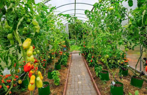 Zielona Zagroda Agnieszka Połeć - Foto 33