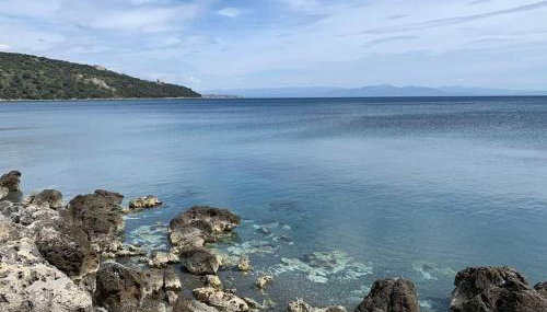 Niki's House - Foto 5