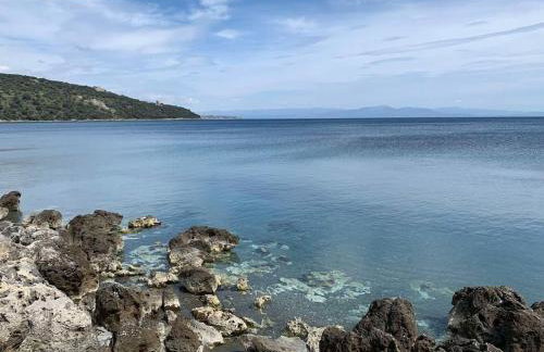 Niki's House - Foto 5