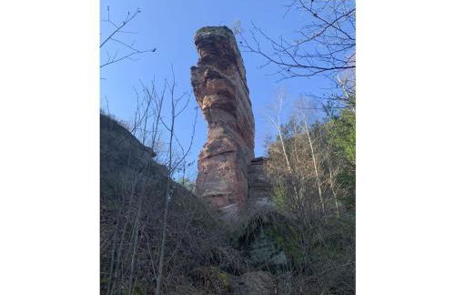 Haus am Kirchberg in Vita Garden - Foto 25