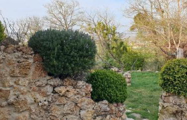 Le Coq de Champagne - Foto 18