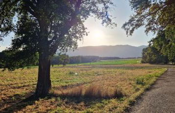 Magnifique appartement - Foto 8