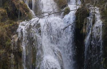 la cabane au fond du jardin - Foto 30