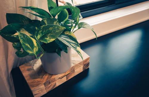 Luxury Mountain Cabin with Views, Hot Tub, Fireplace - Foto 38