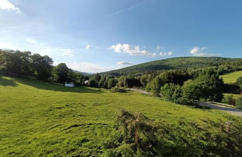 Dom nad Potokiem Sowa - Foto 52