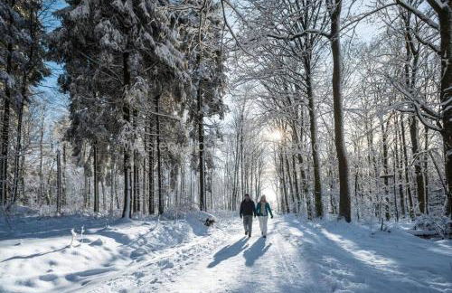 Casita - Sterneferienhaus mit Garten, Sauna und Wallbox - Foto 71