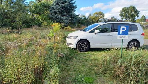 FeWo "Biene" im Kunstgut Krahne - Foto 2