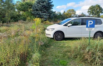 FeWo "Biene" im Kunstgut Krahne - Foto 2