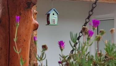 Casinha do pinhal - Photo 2, Garden view