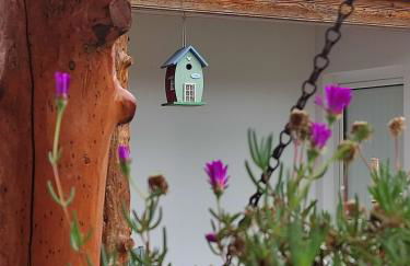 Casinha do pinhal - Foto 2