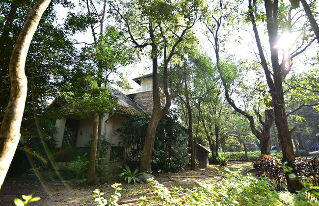 Uncle Jo Rustic - Foto 23