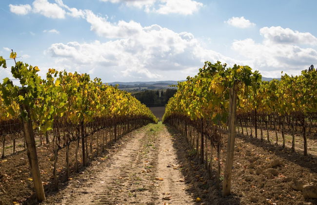 La Palazzina in Monteroni D Arbia - Foto 41
