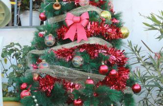 Cueva La Loli - Foto 54