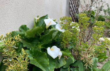 La Solognote-Châteaux & Beauval - Foto 16