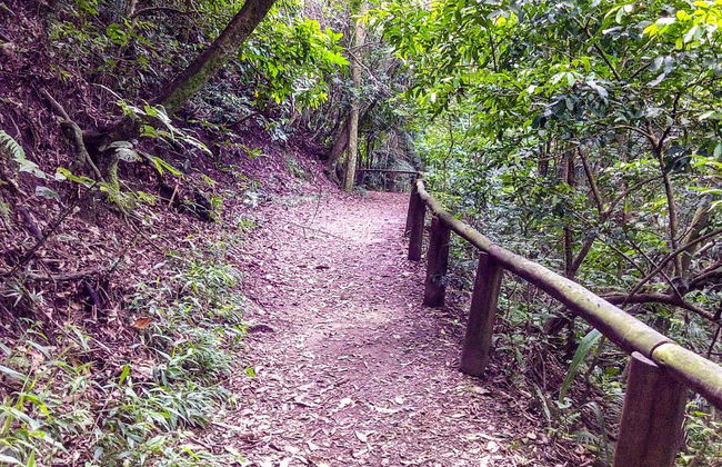 Jaragua Park Private Hiking Experience - Foto 3