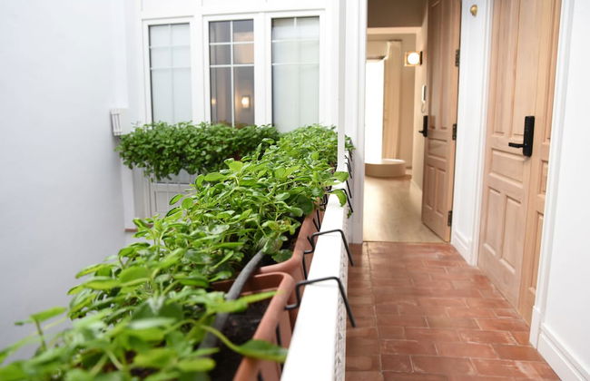 Casa Bailen Apartamentos - Foto 49