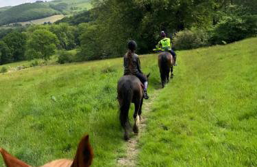 Cosy holiday caravan minutes from the beach - Foto 37