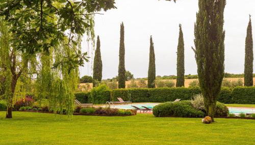 Ghiaccio Bosco - Foto 5