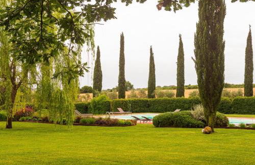 Ghiaccio Bosco - Foto 5