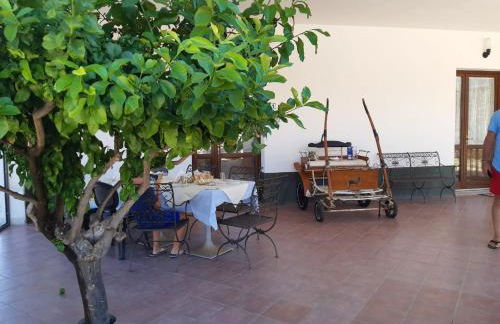 Segesta Antichi Sapori - Foto 15