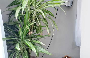 House of Whales, Apartamentos con vistas al mar en Caión - Foto 22