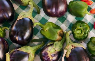 Oak Farm Traditional guesthouse - Foto 28