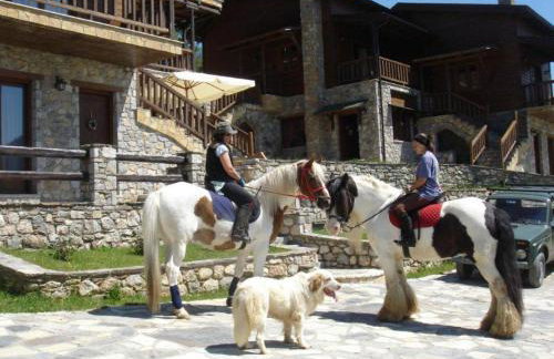 Suites Efharis Filoxenon - Foto 43