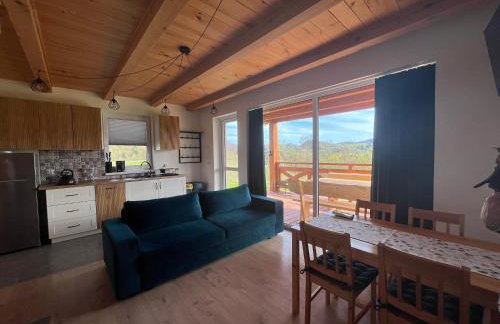 Biesiedlisko Bieszczadzkie - Foto 10