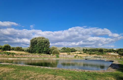 AL - Casa dos Alentejanos - Foto 41