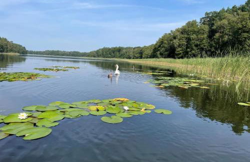 Ferienhaus Seeblick, Schönberg - Foto 22