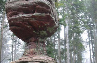 La casa di Alba-Salomé - Foto 46