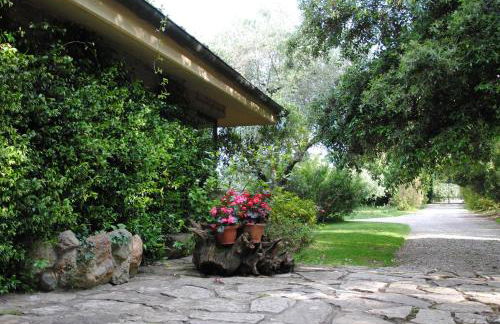 La Casa Degli Elfi - Foto 25