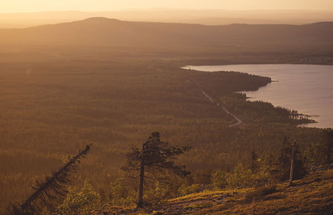 Ski-Inn PyhäSuites - Foto 56