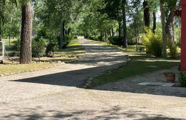 Casa Rural Los Menhires - Foto 49