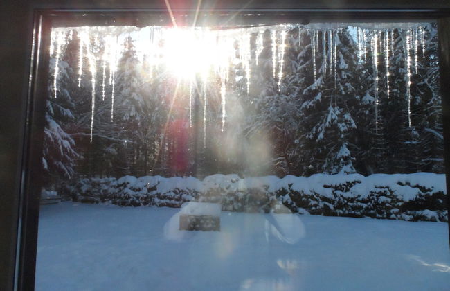 Ferienwohnungen Haus Zeier - Foto 37