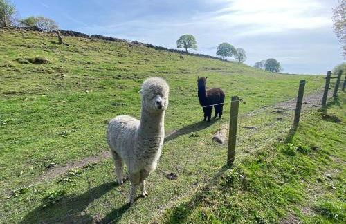 Hodder Cottage in The Ribble Valley - Foto 19