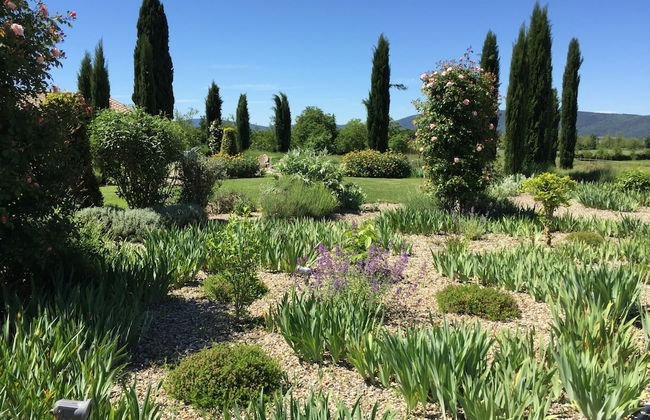 Rinidia Bio - Foto 65