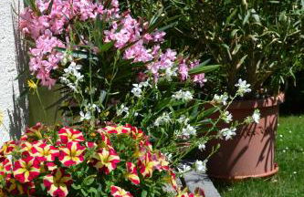 Haus Gunda - Foto 16