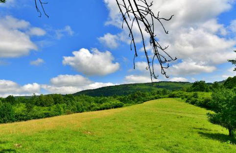 Natura hause - Foto 41