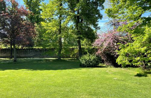 Palazzo Minelli - Foto 53