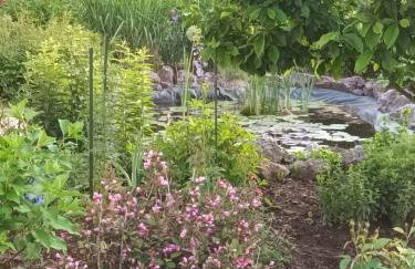 Apartman Latin 2 - Photo 3