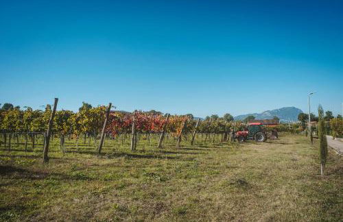 Agriturismo Bellofatto - Foto 32