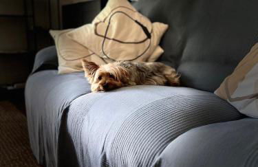 DÚPLEX DUQUESA - Foto 59