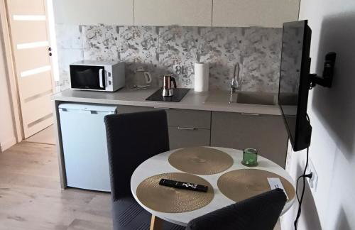 Apartament Palmowy Harnaś - Foto 7