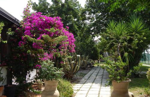 Ricciardulli Rooms - Foto 25