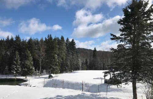 Ferienwohnung Morgensonne - Foto 23