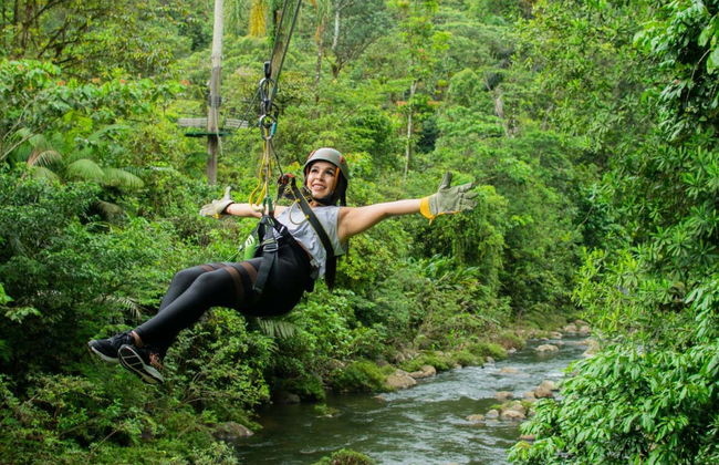 Biglietti per il parco Rainforest Atlantic - Foto 2