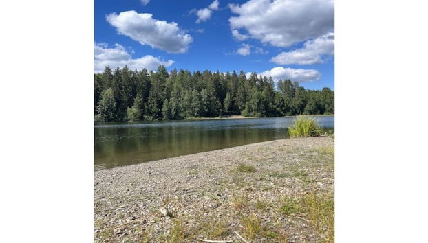Panoramic View of Lake Harz - Foto 5, Zimmer