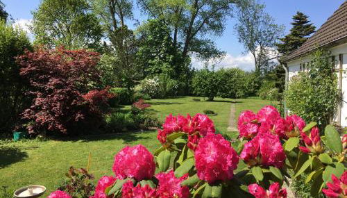 Ferienhaus Scholien - Foto 3